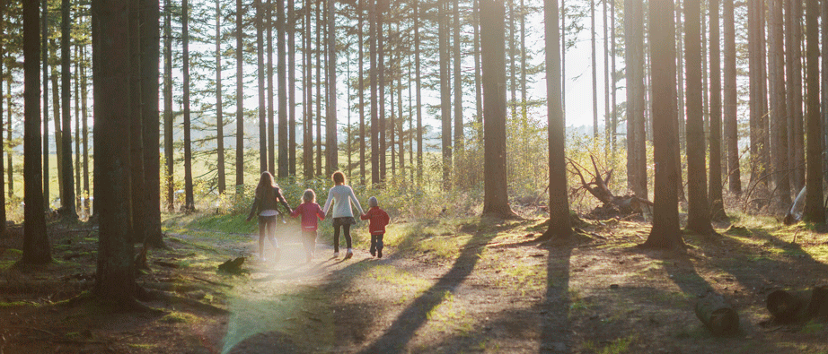 Barn som går i skogen.