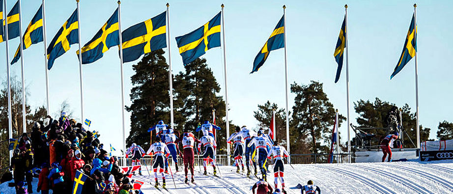 Svenska flaggor vajar i vinden framför skidåkare