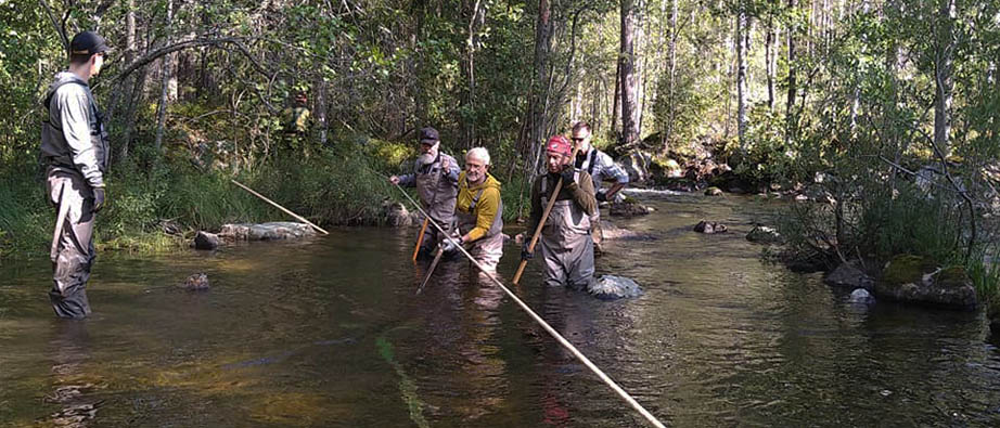 Fem män med vadarbyxor står i en å och arbetar
