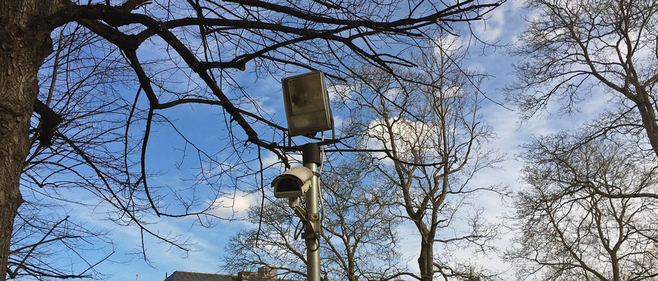Bevakningskamera med träd i bakgrunden.