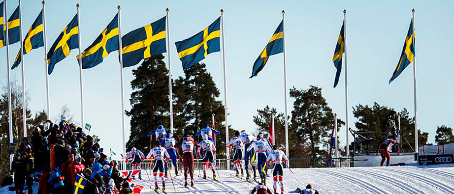 Skidåkare på väg upp för hästskon med vajande svenska flaggor framför sig.